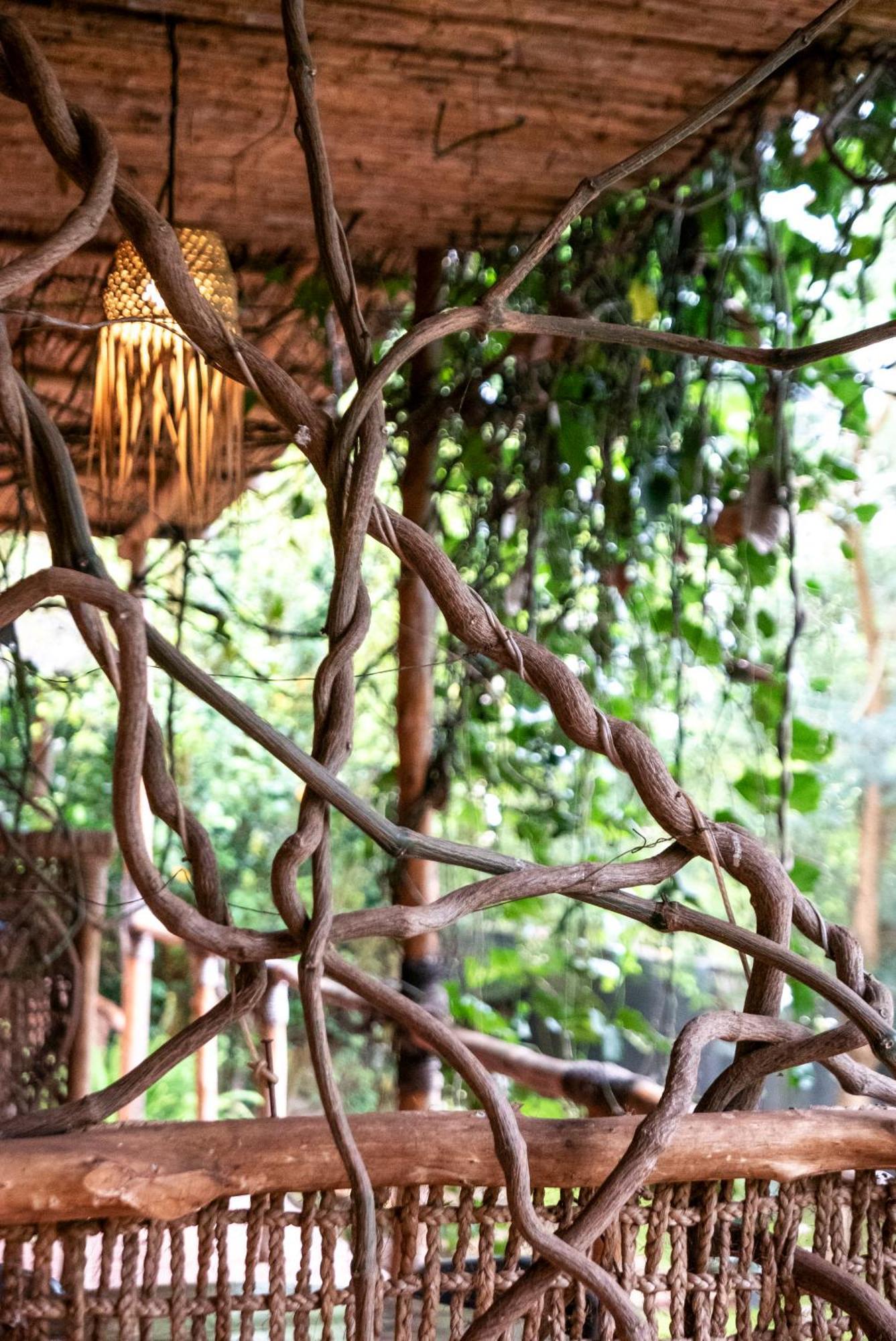 Akagera Transit Lodge 외부 사진