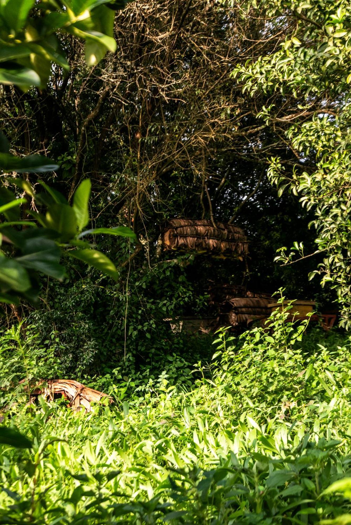 Akagera Transit Lodge 외부 사진